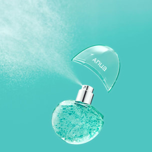 Pdrn Hyaluronic Acid Hydrating Capsule Mist - Brume Visage Hydratante Éclat