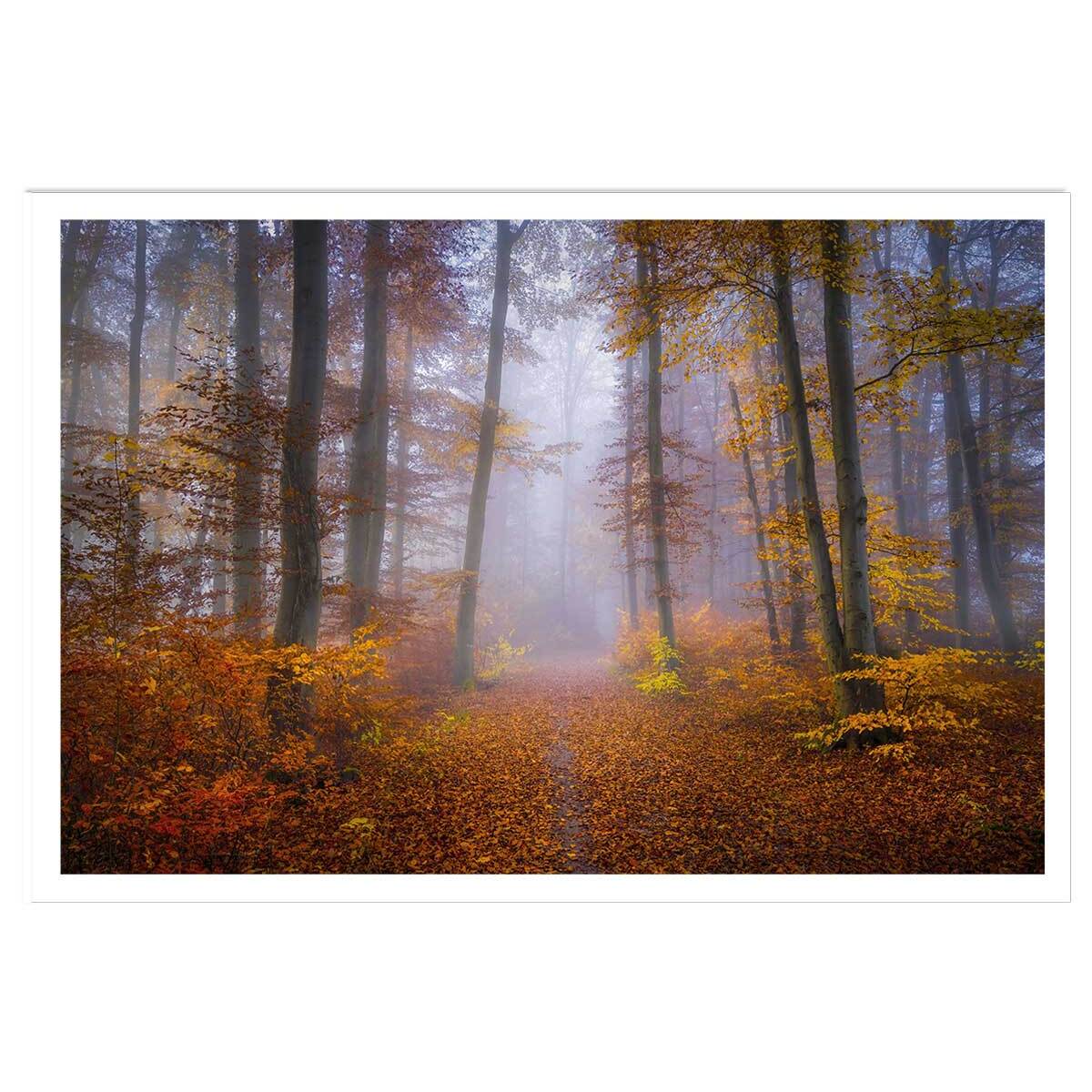 Affiche Chemin d'automne Affiche seule