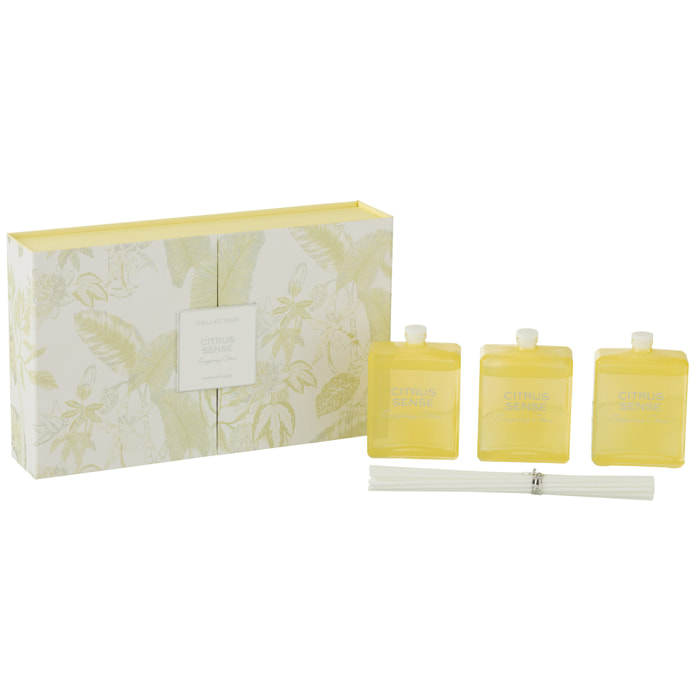 J-Line huile parfumée + bâtons Citrus Sense - Energizing Citrus - verre - jaune - boîte de 3
