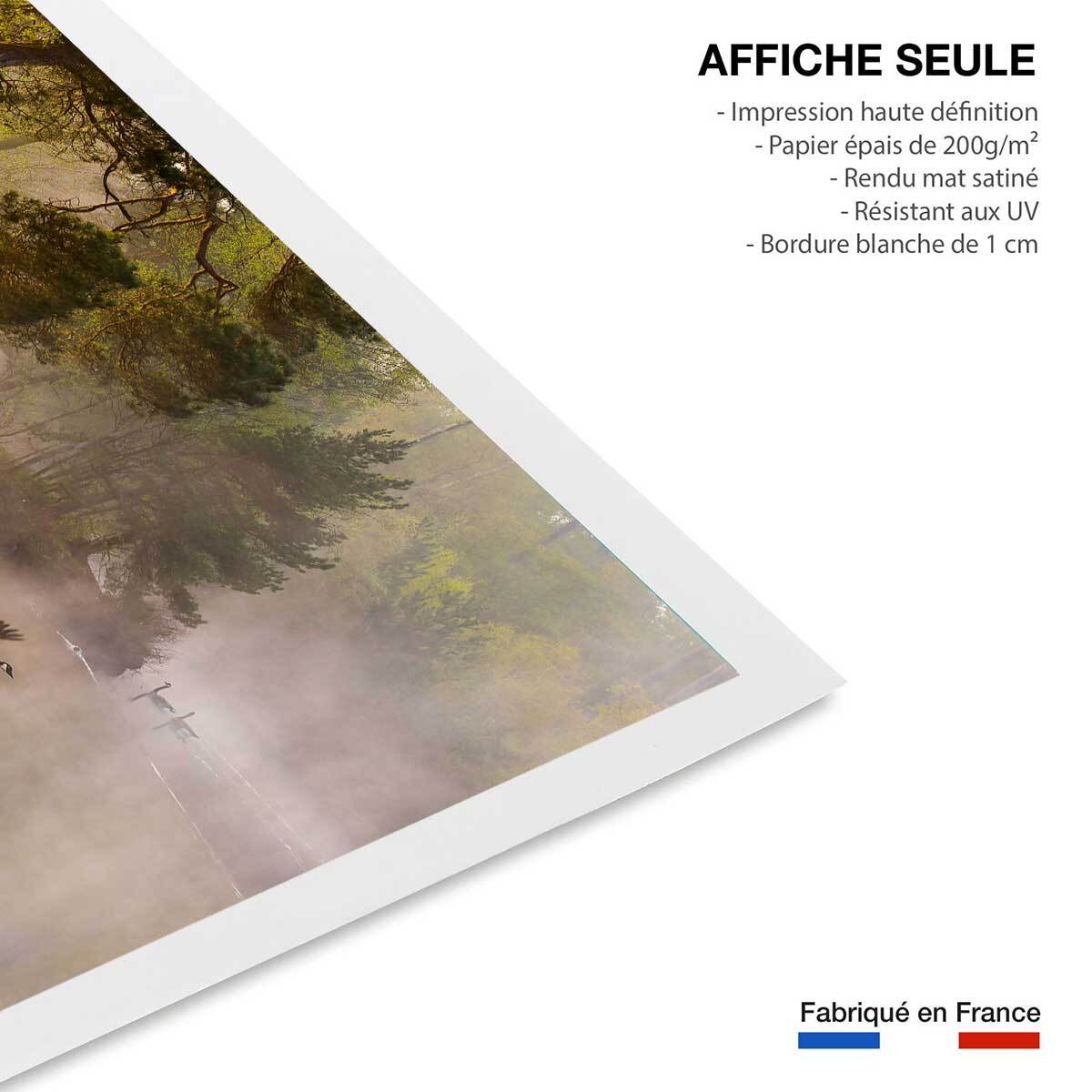 Affiche paysage oies sauvages Affiche seule