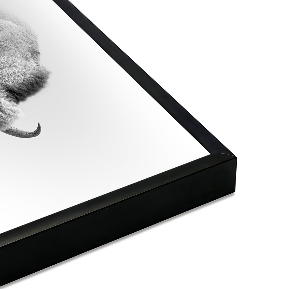 Affiche encadrée bison en noir et blanc dans la brume Affiche + cadre en métal - Noir