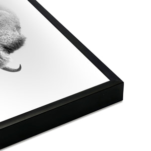 Affiche encadrée bison en noir et blanc dans la brume Affiche + cadre en métal - Noir