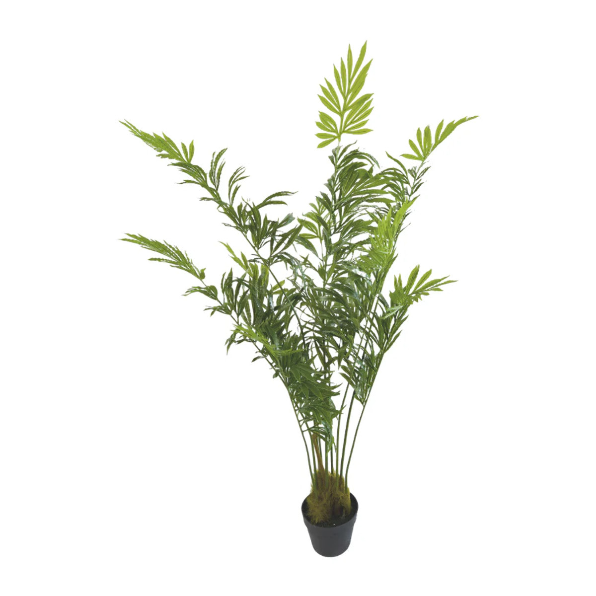 Pianta artificiale per interno Palma areca caryota cm 140 verde c/vaso