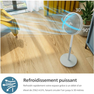 Ventilateur PHILIPS CX2550/00