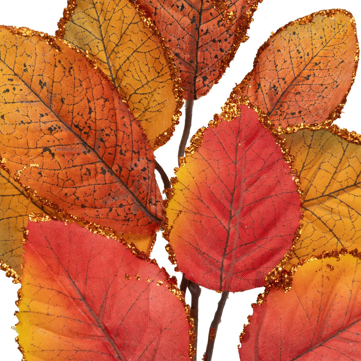 Branche de feuilles de magnolia automne sur pince