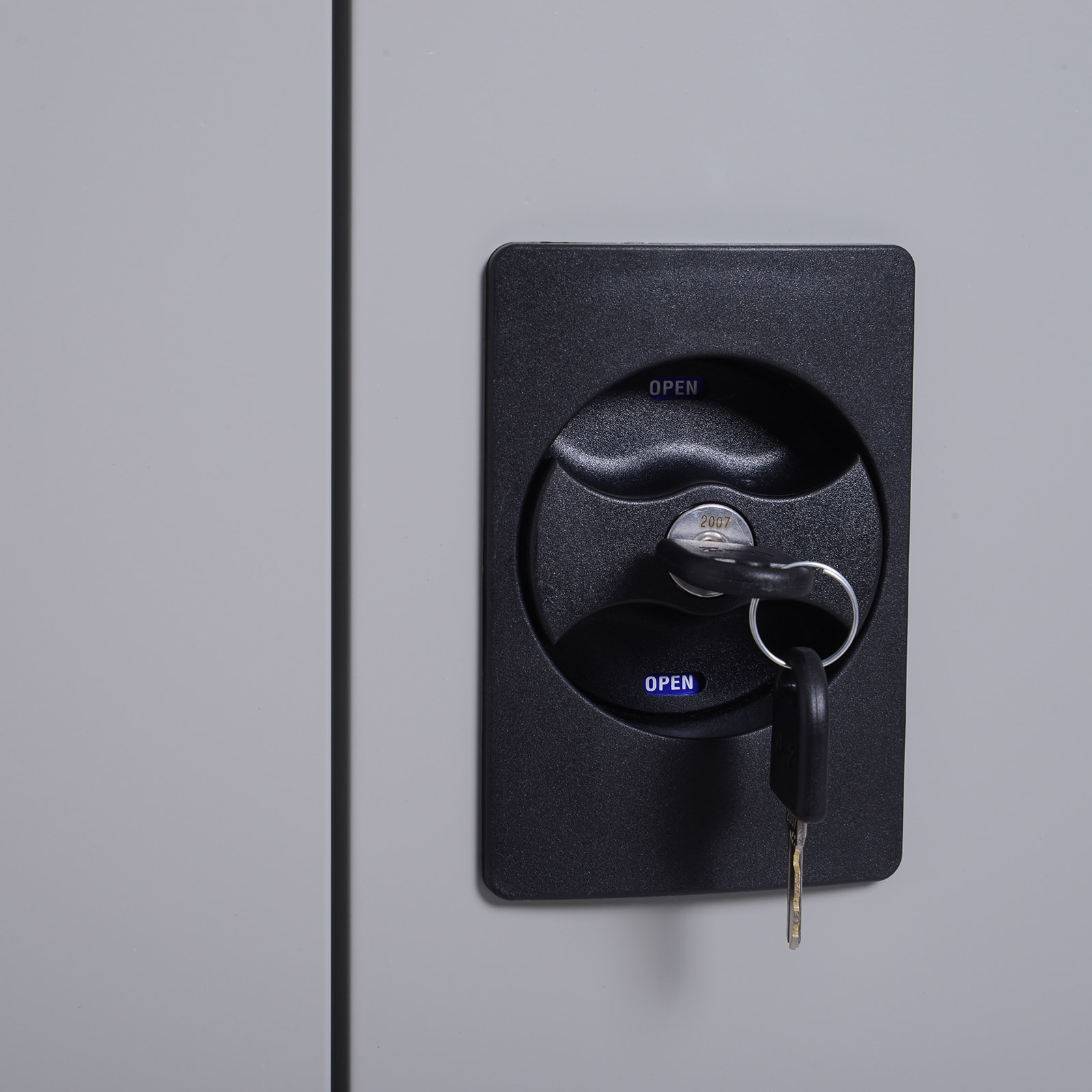 Armario Archivador Metálico, Archivador de Oficina, con 2 Puertas, Cerradura, Estante Ajustable, Armario Metálico para Sala de Estar, Estudio, 80x40x92,5 cm, Gris