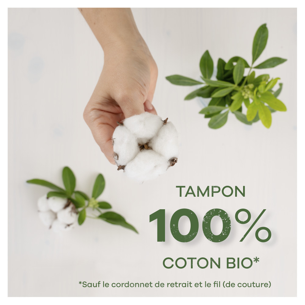 6x16 Tampons Tampax Cotton Protection Régulier