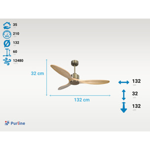 Ventilateur de plafond Réversible  Thermostat Wifi Moteur à courant continu Toits en pente Télécommande Hypersilence Mémoire