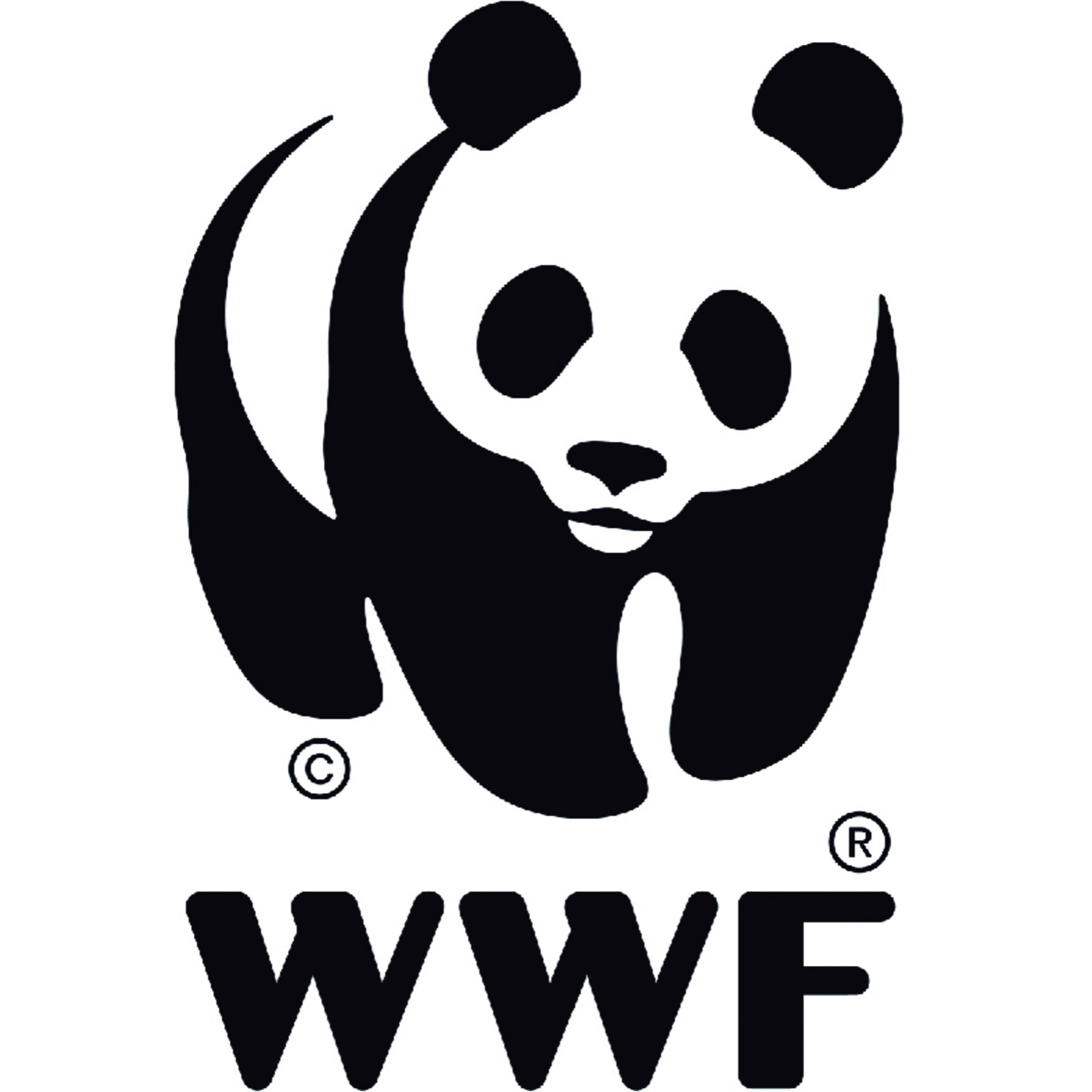 WWF MEMORIA GIGANTE REPTILES
