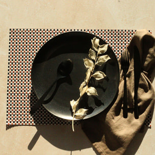 Lot de 6 sets de table tissé en PVC rouge 45x30cm