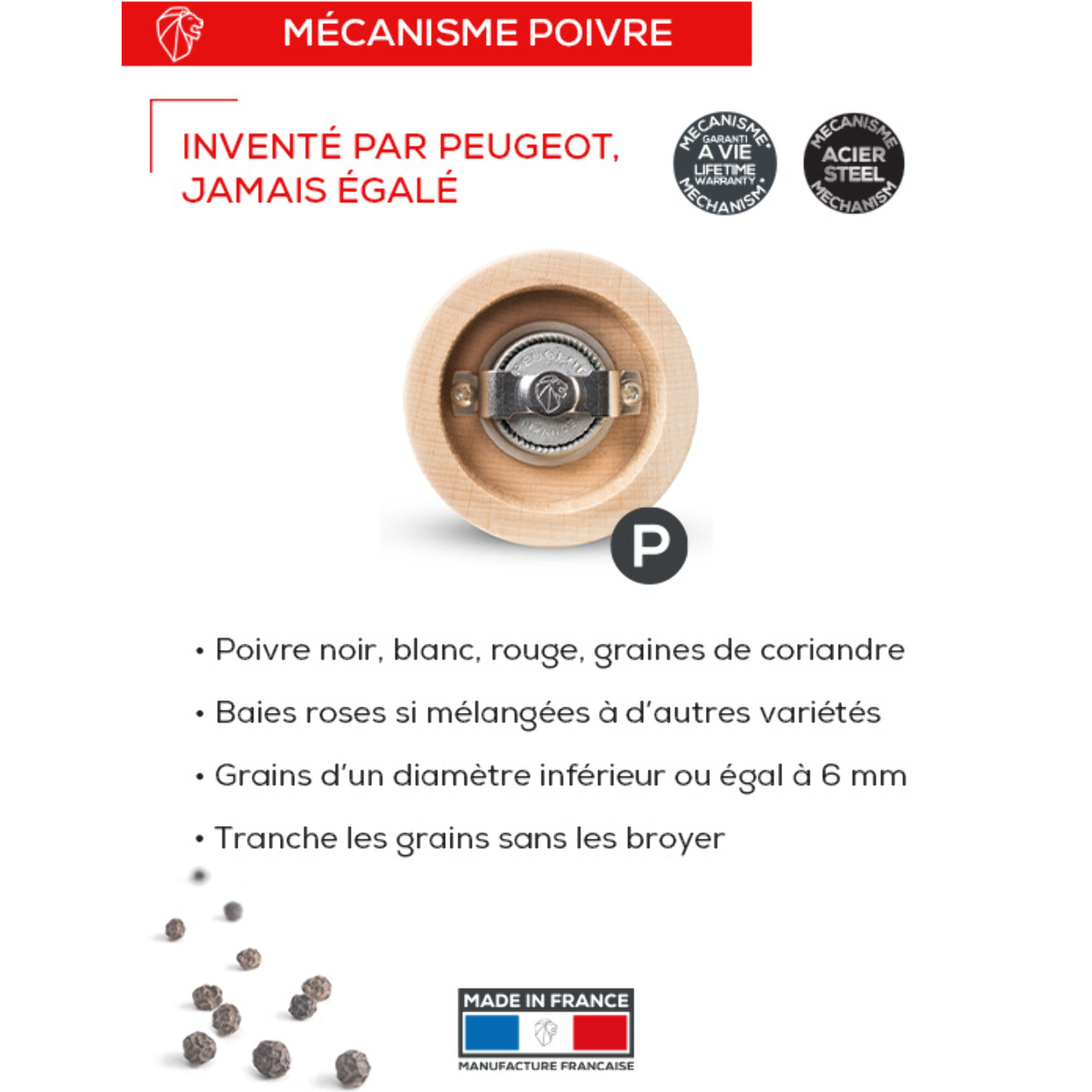 MOULIN À POIVRE BOIS CHOCOLAT 27 CM Moulin chocolat