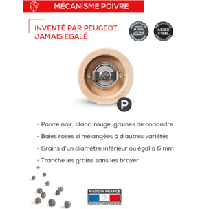 MOULIN À POIVRE BOIS CHOCOLAT 27 CM Moulin chocolat