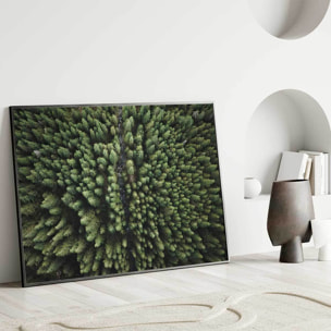 Affiche encadrée forêt vue du ciel Affiche + cadre en métal - Noir