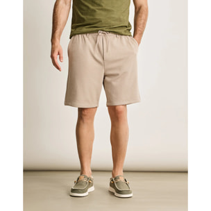 Bermuda Arena - Player