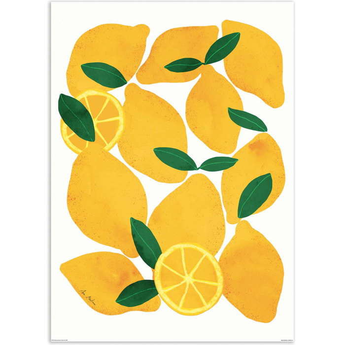 Affiche - Mediterranean lemons - El Buen Limon
