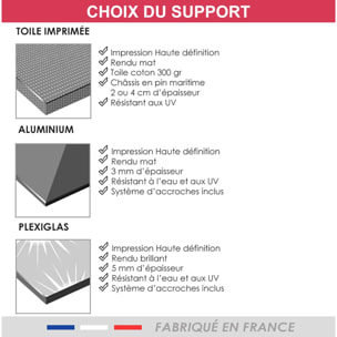 Tableau arbre coloré Toile imprimée