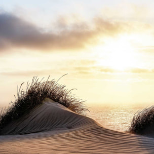 Poster dune au vent Affiche sous cadre bois
