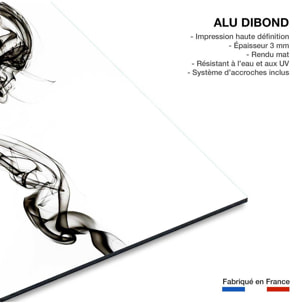 Tableau black smoke medusa Tableau alu Dibond