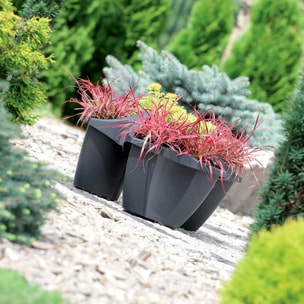 Maceta crown 16l., dimensiones (mm) 480x480x264, color antracita