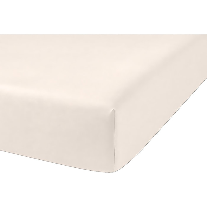Drap Housse Microfibre Lavee - Bonnet 28cm Beige Sable