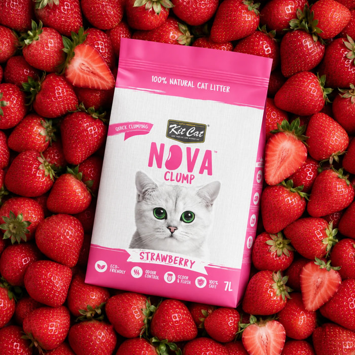 Pack 12 Kit Cat Arena Eco Nova Clump - Strawberry 7 L Arena para gatos - Dulce y Frutal Suave