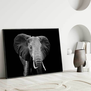 Affiche encadrée éléphant en noir et blanc Affiche + cadre en métal - Noir