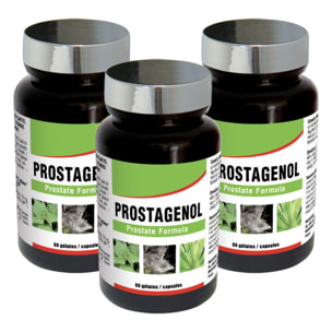 NUTRI EXPERT - Prostagenol - Maintien de la santé du système urinaire et du fonctionnement de la prostate - 60 gélules végétales - Lot de 3 produits