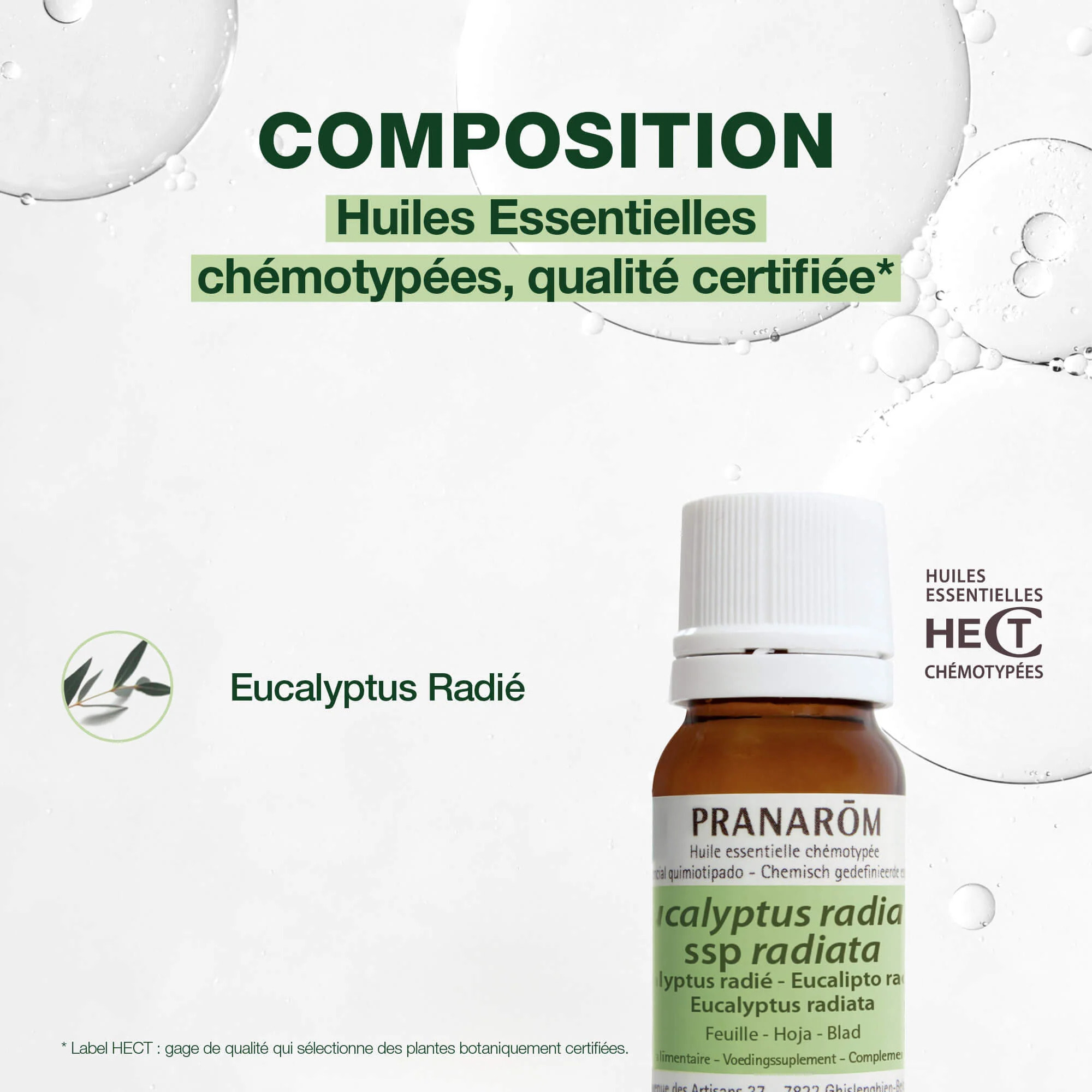 Pranarom - Huile Essentielle d'Eucalyptus radié - 10 ml