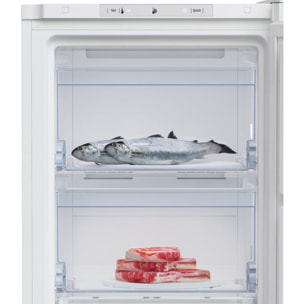 Congélateur armoire BEKO B1RFNE204WFR