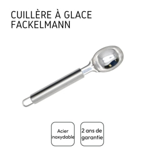 Set de 2 cuillères à glace inox Fackelmann Elemental