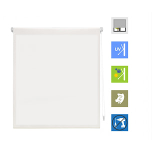 Store enrouleur Polyester Opaque Multicolore