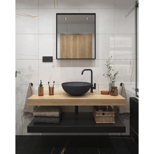 Mitigeur d'évier Swiss Aqua Technologies Dark avec bras pivotant noir SATBSDA280LC