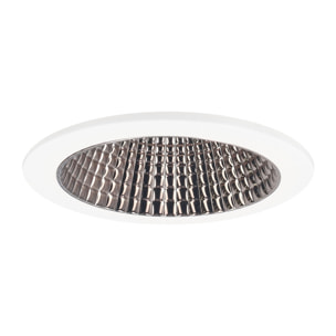 FORLIGHT Forlight - Plafón LED 64W Regulable, Luz Ajustable 3000K-6000K, Diseño Moderno Blanco y Madera, Diámetro 61 cm, Ideal para Interiores Acogedores y Luminosos