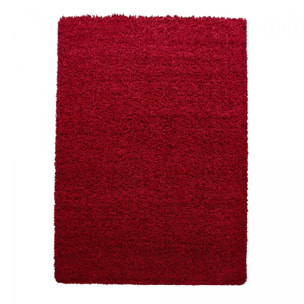 Tapis poils longs shaggy tissé motif uni ZASIVE