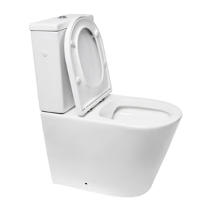 Project Combi WC à poser sans bride en céramique avec abattant SoftClose, blanc (SATPRO31)