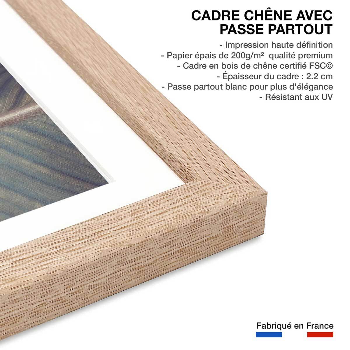 Affiche palm leaves y Affiche + cadre en bois - Chêne