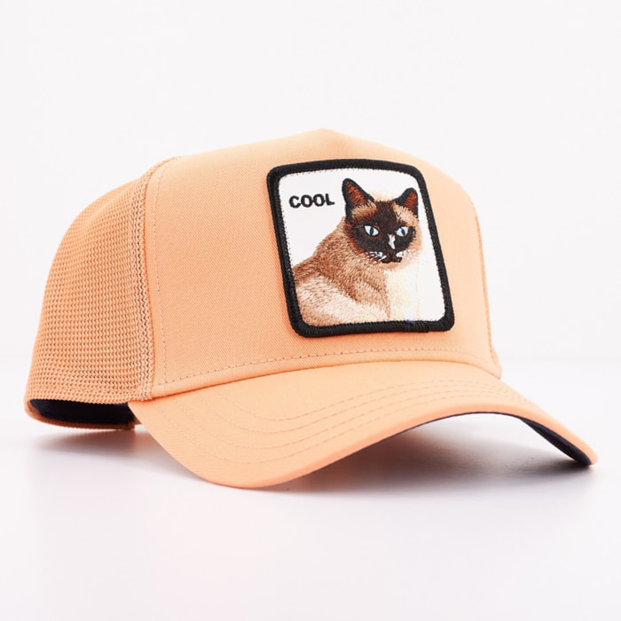 GORRA GOORIN BROS COOL CAT