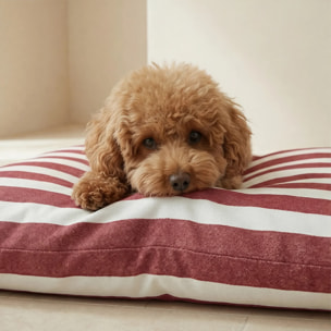 Lit pour animaux déhoussable et antitaches Torrox Grande