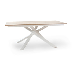 Tavolo Giove Cemento Bianco 180 240*90*76 per soggiorno, cucina e arredo bar