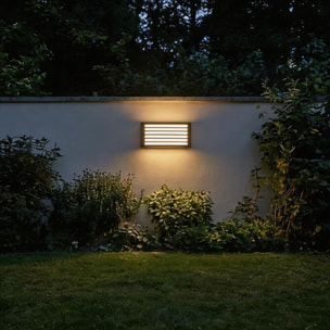 Forlight Zenitha aplique exterior negro con led blanco cálido 3000K