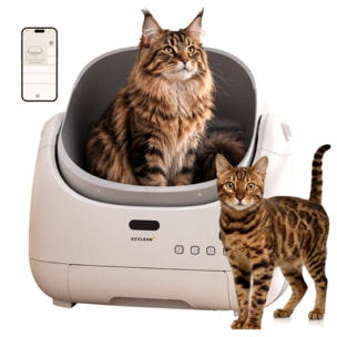 CATBOT K12i ULTRA IA