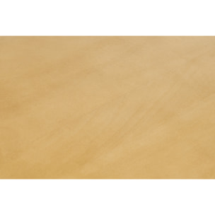 Table basse rectangulaire en bois manguier massif L120 cm SOTA