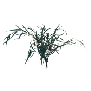 J-Line fleur sechée - bouquet Eucalyptus Sauvage - vert