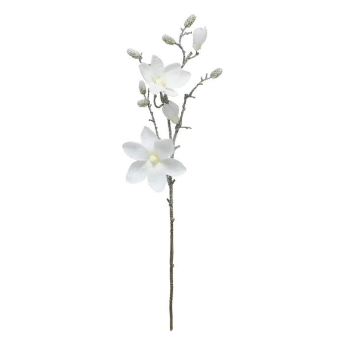 Branche Magnolia blanc H66cm