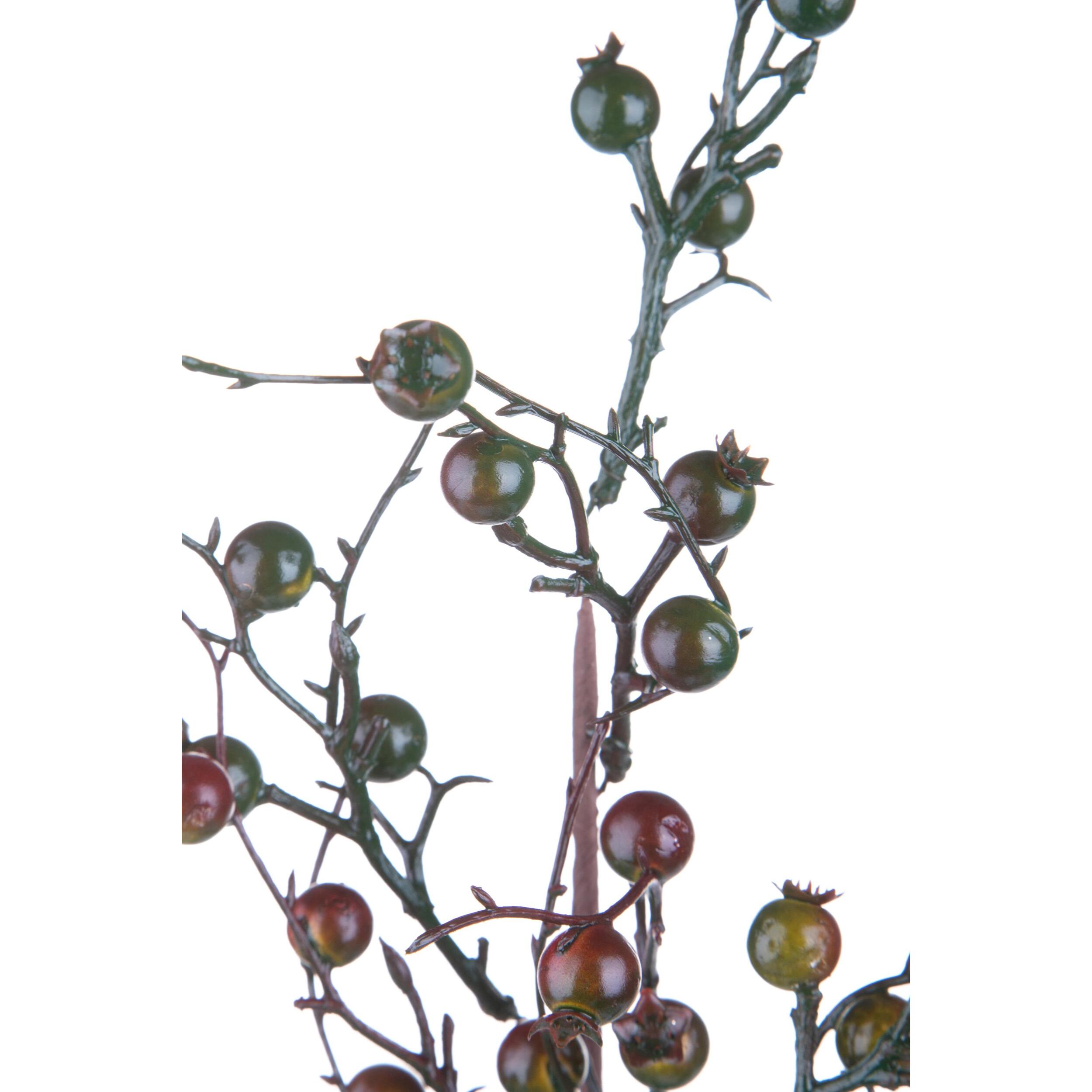 Ramo bacche - Pezzi 12 - 12xH76x3cm - Bianchi Dino SpA