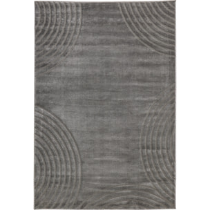 BLOOM - Tapis poils ras motif arc en relief - Gris