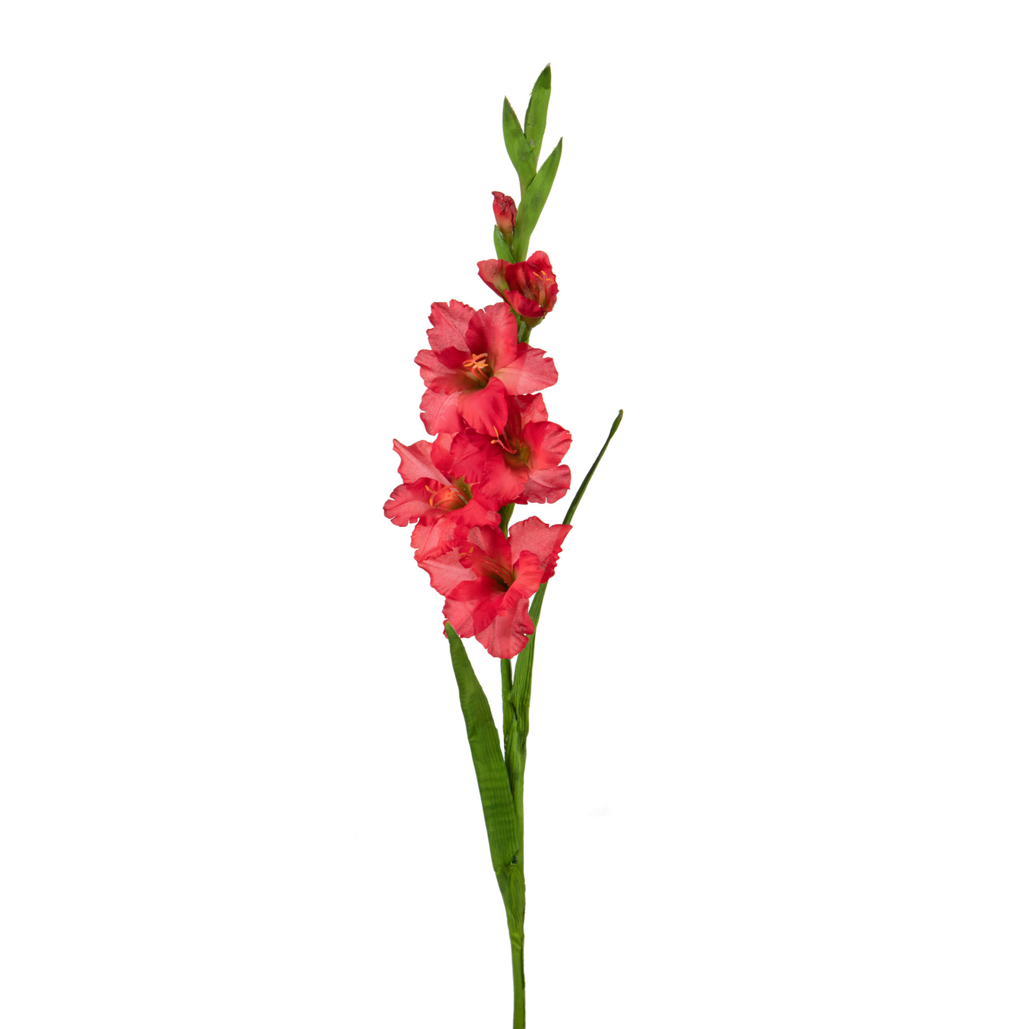 Fiore Di Gladiolo Mini. Altezza 74 Cm - Pezzi 12 - 13X74X7cm - Colore: Rosso - Bianchi Dino - Fiori Artificiali