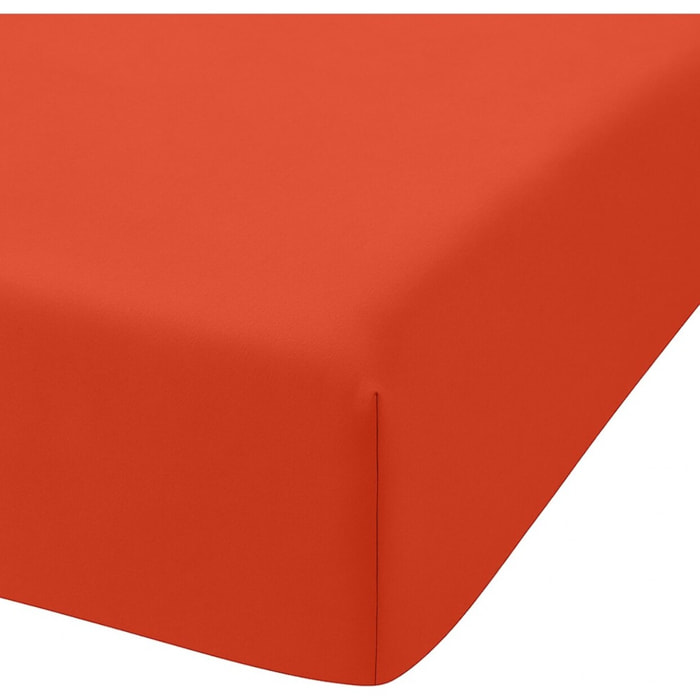 Drap Housse - Bonnet:30cm 100%coton Bio 57fils Bisque