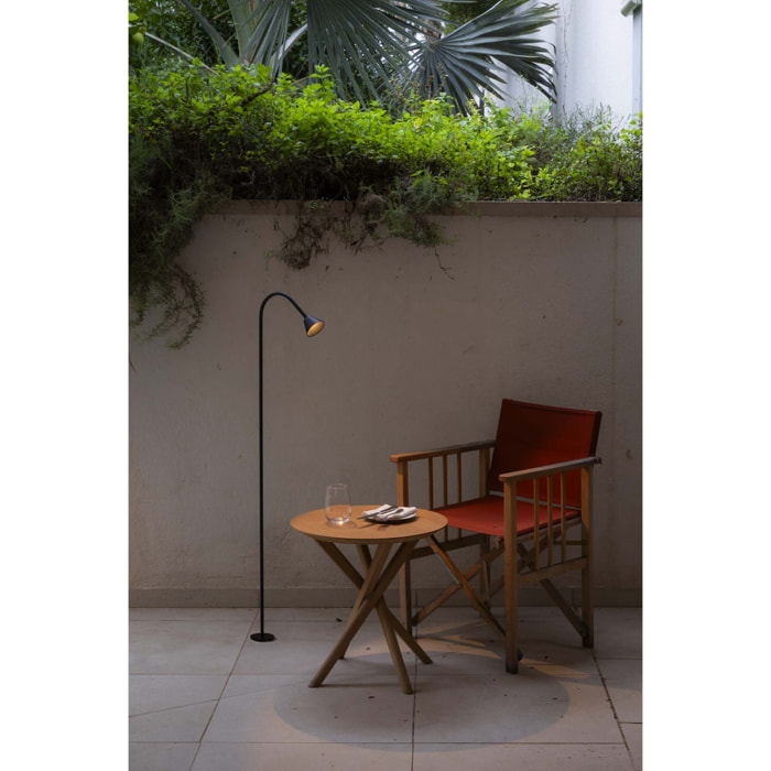 LILY 1190 Baliza negra