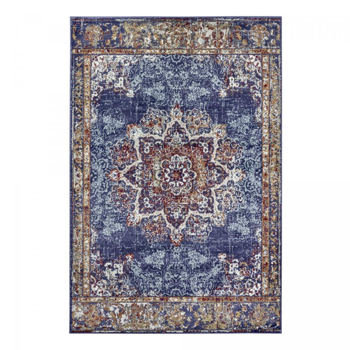 Tapis salon Rectangulaire Oriental